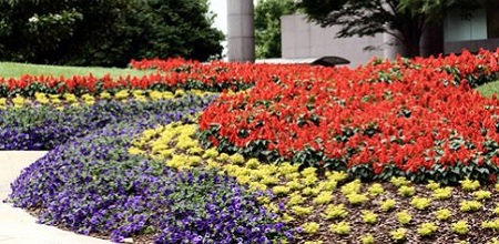 Commercial Landscaper in Atlanta, GA | Captive Landscapes